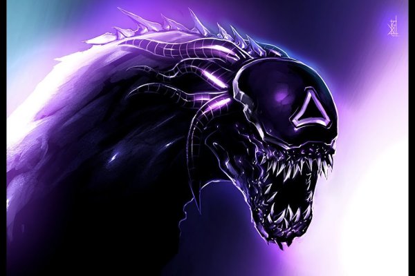 Kraken 11at
