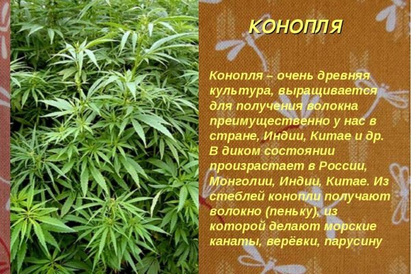 Кракен правила площадки