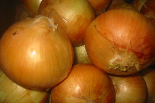 Кракен вход рабочий