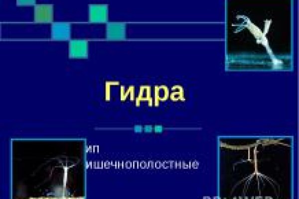 Кракен at