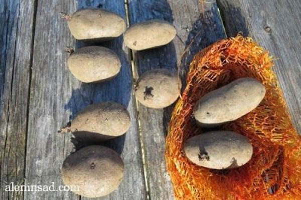 Даркнет москва