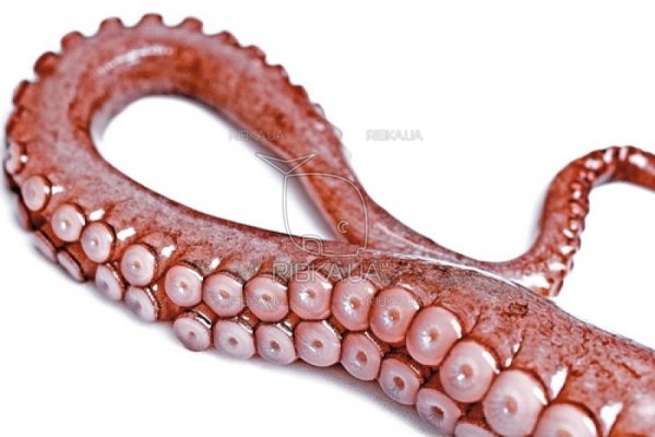 Kraken официальный сайт ссылка krk store com