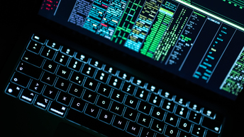 Kraken kraken link24 info