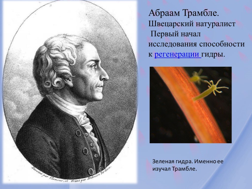 Актуальная ссылка на кракен