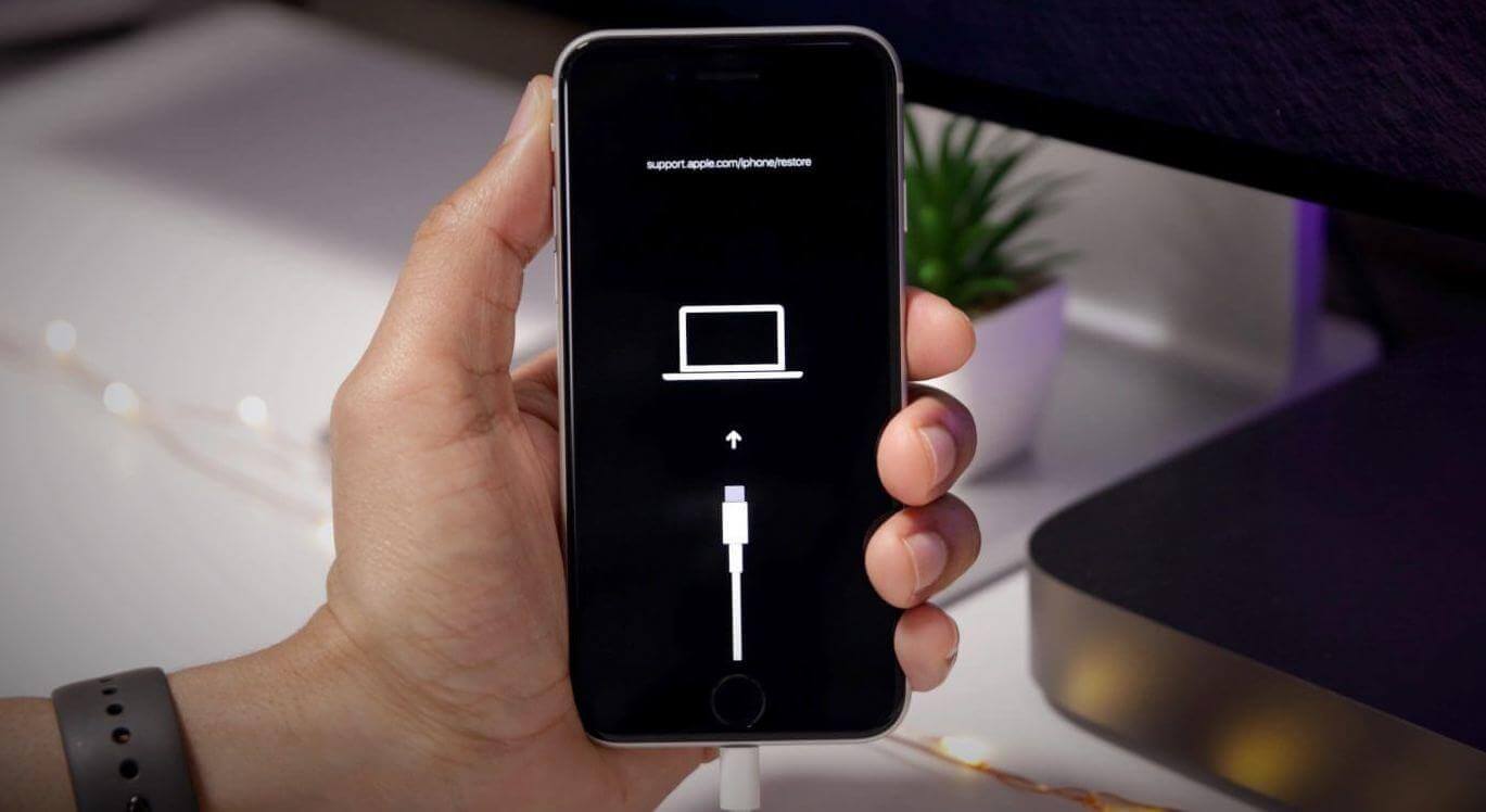 Даркнет заказ